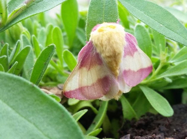 2019-06-26 12.59.20.jpg