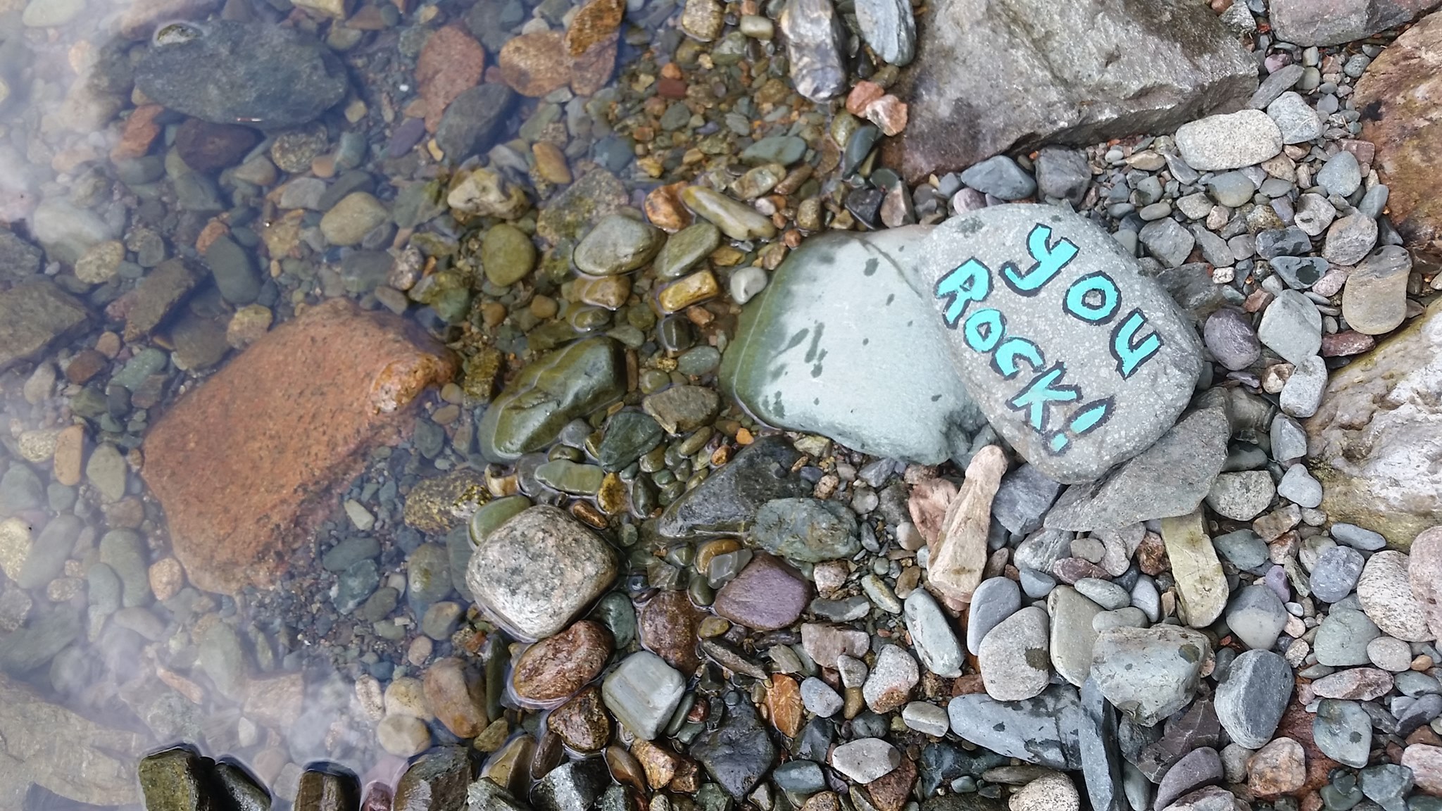 67332247_10101126973419256_7042086467954278400_o